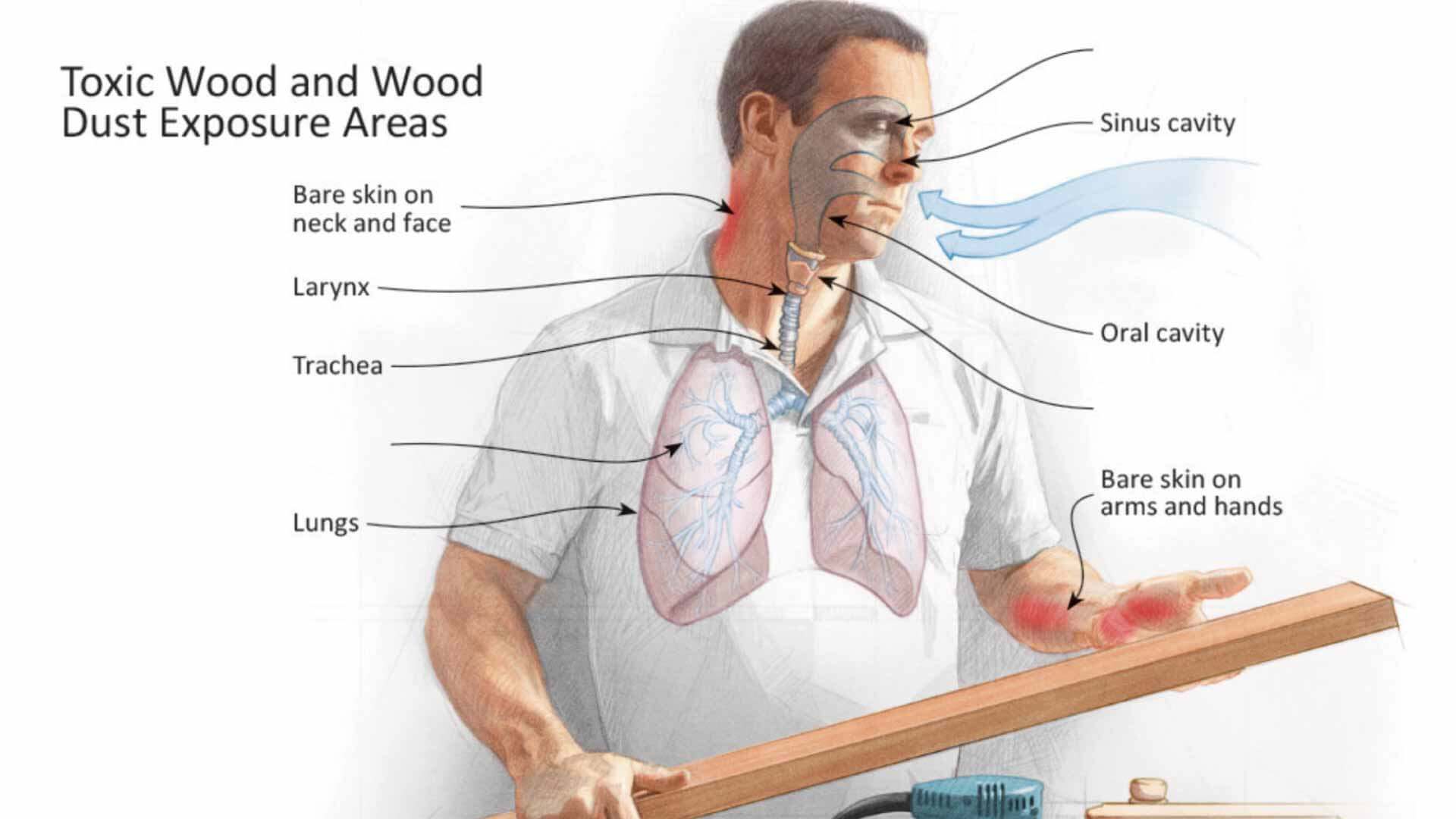 Wood dust safety in your workplace expert tips to protect your team